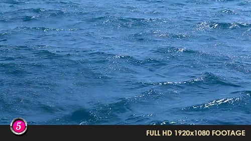 Water Waves 264