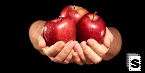 Cupped Hands Presenting Fresh Red Apples