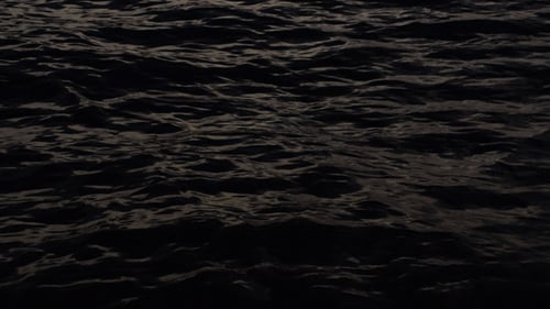Night Sea