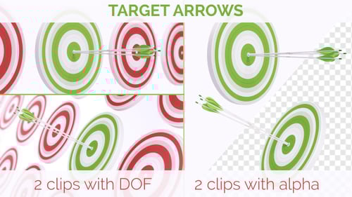 Flat Design Target Hit with Arrows Achievement Animation