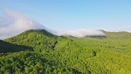 Aerial View of Beautiful Lush Green Rolling Hills