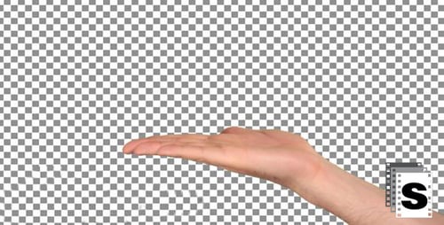 Hand - Palm