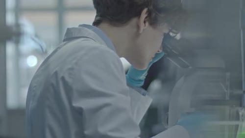 Scientist Using Microscope in a Laboratory Setting