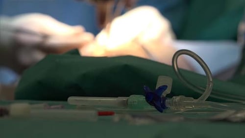Surgeon's Hands 3