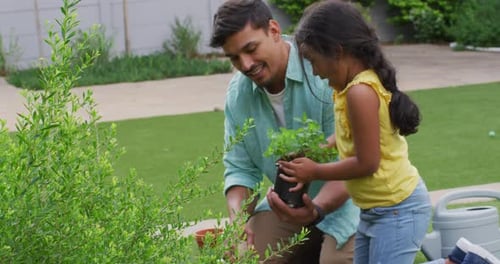 Hispanic father and daughter teaching planting flowers in the garden