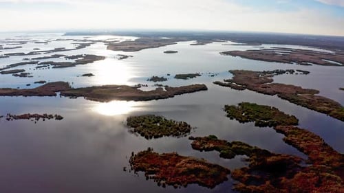 Aerial View of Lake with Islands and Vegetation