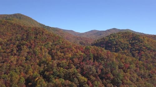 Montaña de follaje de otoño 4K Cinemática
