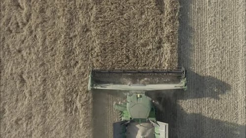 Combine Harvesting Wheat Top View of a Wheatfield