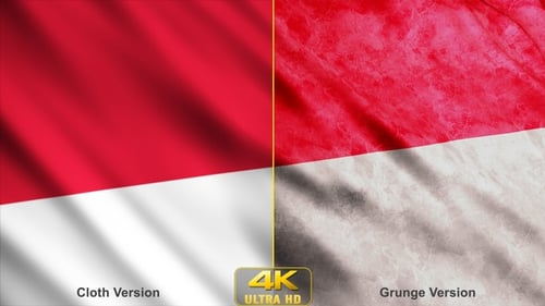 Seamlessly Looping Waving Flag Animation with Texture Variations