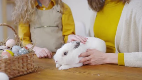 Child and Adult Petting a White Rabbit