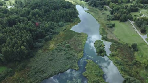 Park area. A winding river with water lilies. Swampy area. Aerial photography.
