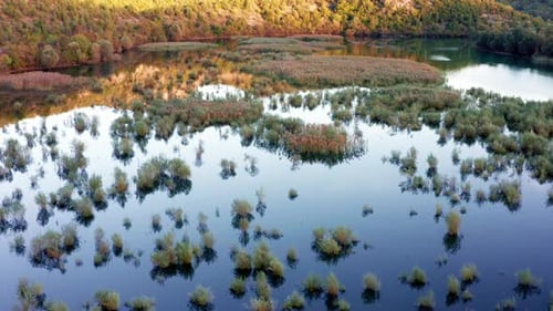 Trees in a swamp - aerial view of a calm lake reflecting clear blue sky in autumn.