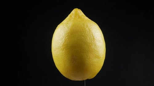 Yellow lemon close up