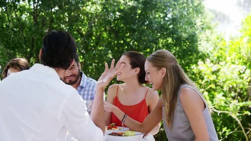 Friends Gather for Outdoor Meal in Garden