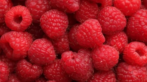 Fresh red raspberries, fruit background