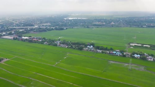 Aerial top view of fresh paddy rice, green agricultural fields