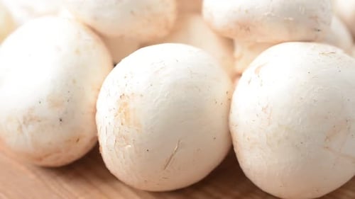 Close Up of Fresh White Button Mushrooms