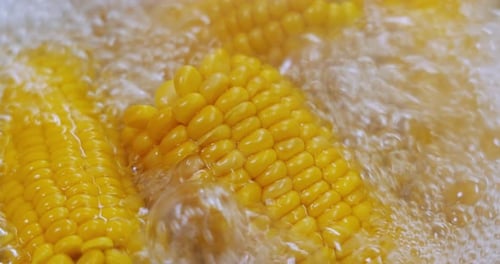 Corn on the Cob Boiling in Water