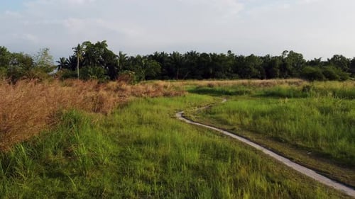 Small farm road at countryside
