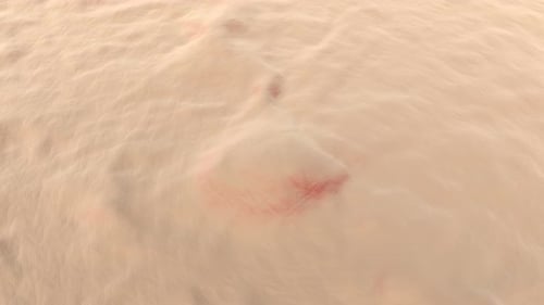 Animation d'un bouton ou d'une acné en pleine croissance
