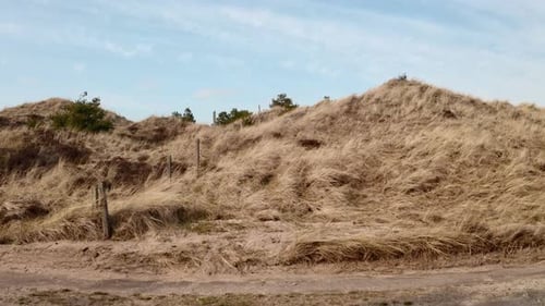 Vast Meadows Towards Residential Area in Skagen