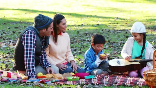 Family having picnic in the park