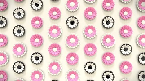 Pulsating Pink and Black Flower Pattern Motion Background