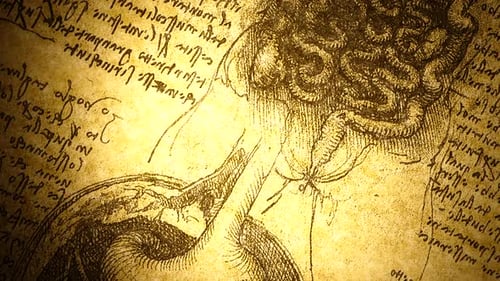 Arte de anatomía