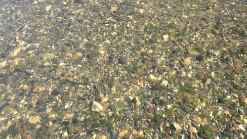 Shallow Water With Mossy Stones