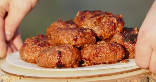 Schnitzel werden auf einen Teller gelegt und auf einen Baumstumpf gelegt. Grillfleischbällchen