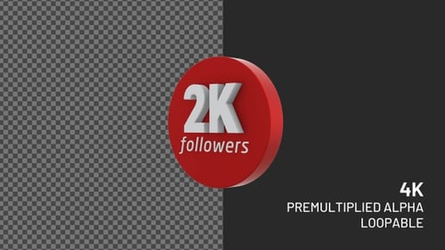 Modern 3D Rotating Thank You Followers Text Element