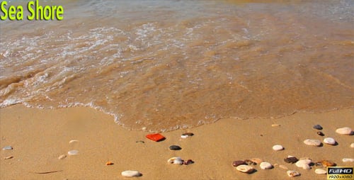 Sea Shore
