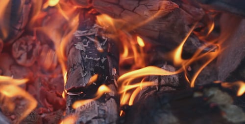 Belle Fire 3