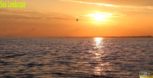 Paisaje marino
