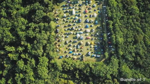 Above the Camp in the Forest