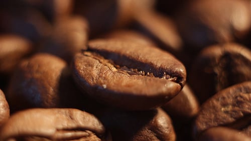Extreme Close Up of Delicious Coffee Beans