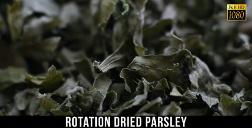 Detailed Close-up of Dried Green Leaves