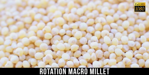 Rotation Hirse 2