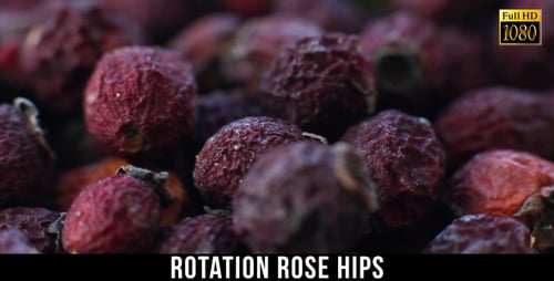 Rotation Rose Hips