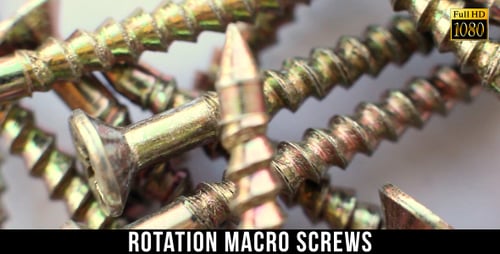 Close up View of Shiny Yellow Screws