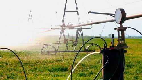 Irrigation Of Agriculture Field