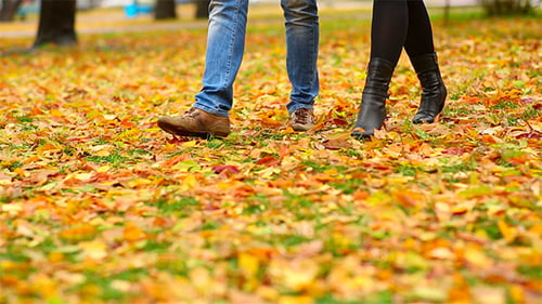 Herbst