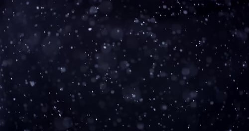 Snow