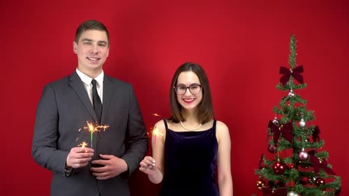 Smiling Couple Celebrate with Sparklers Near Christmas Tree