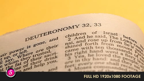 Pages of an Open Bible Displayed