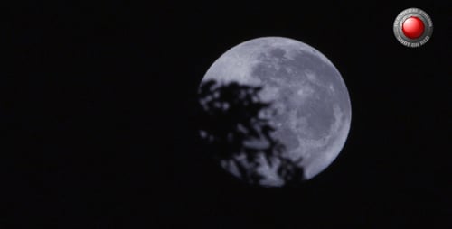 Mond hinter dem Busch 1
