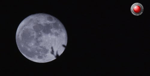 Mond hinter dem Busch 2