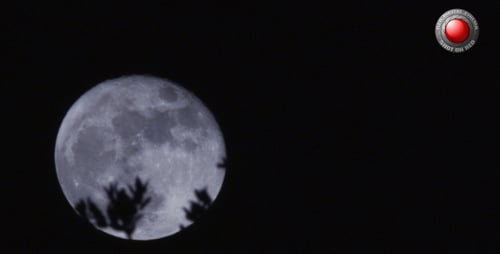 Mond hinter dem Busch 3