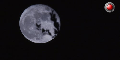 Mond hinter dem Busch 4