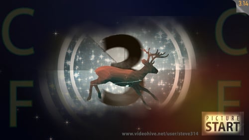 Holiday Reindeer Countdown with Film Look and Sparkles